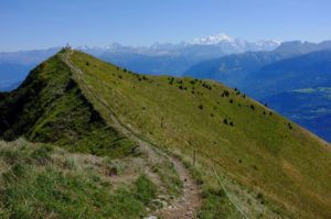 Pointe du Môle, le sommet au printemps